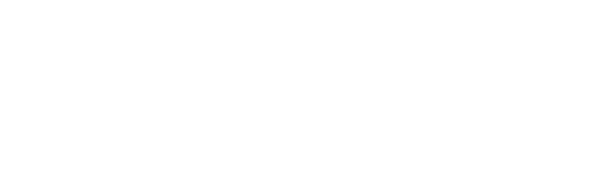 心に残る海洋散骨セレモニーを